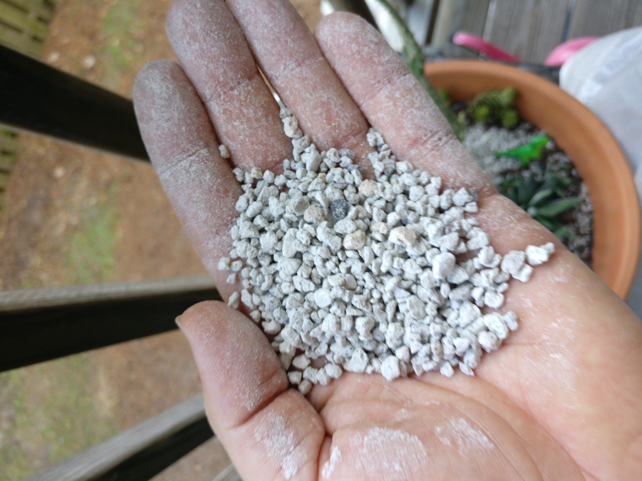 Garden Pumice review (General Pumice Products) Succulent Simplicity