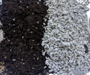 soil pumice mix