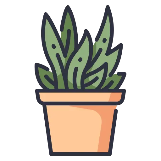 SucculentSimplicity